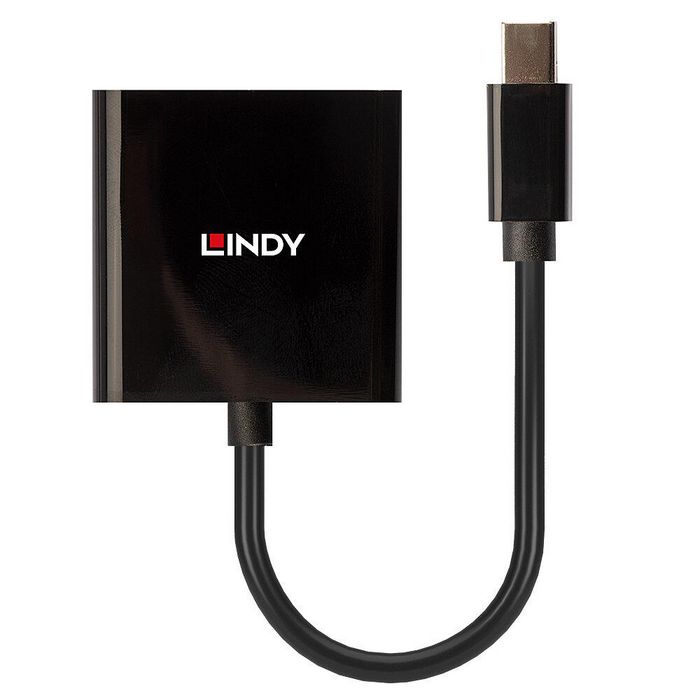 Lindy Mini DisplayPort to DVI Active Converter - W128456965