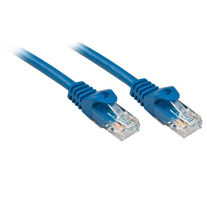Lindy 0.3m Cat.6 U/UTP Network Cable, Blue - W128457553