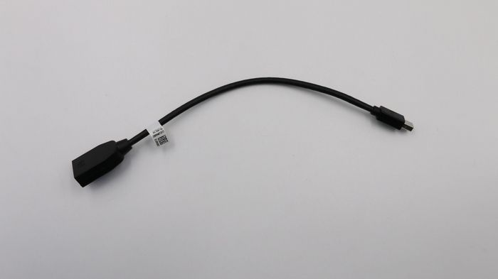 Lenovo Cable 265mm mindp to DP cab - W125498116