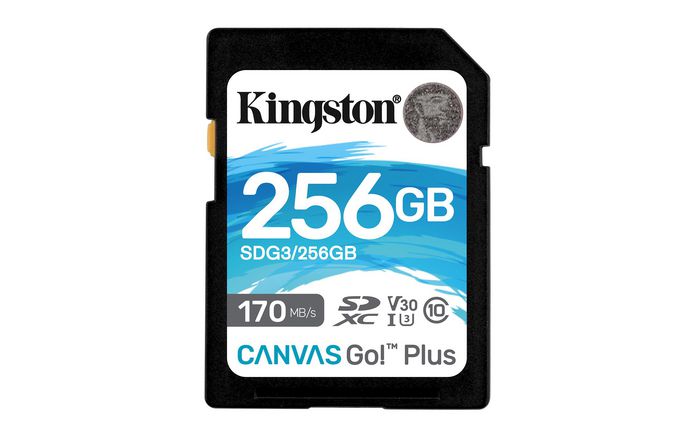 Kingston 256GB, Class 10, UHS-I, U3, V30, exFAT - W126824387