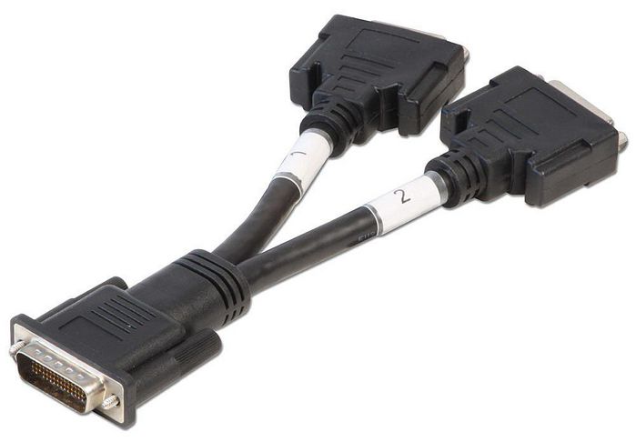 Lindy "DMS 59 Male to 2 x DVI-I Female Splitter Cable" - W128802329