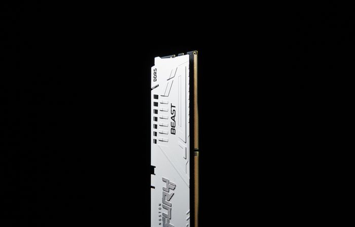 Kingston Fury Beast Memory Module 16 Gb 1 X 16 Gb Ddr5 5600 Mhz - W128347420