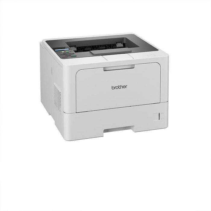 Brother Professional mono laser printer - W128805132