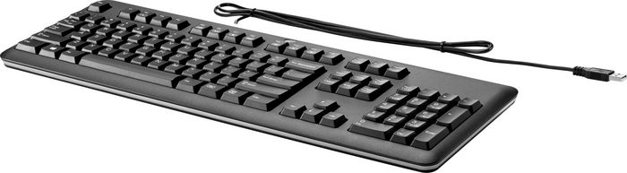 HP USB Keyboard - W124693733