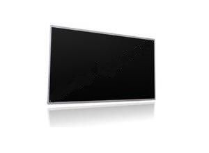 Acer LCD Panel 20.1" - W124361771