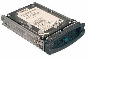 Fujitsu 300GB 3.5" SAS - W124390799