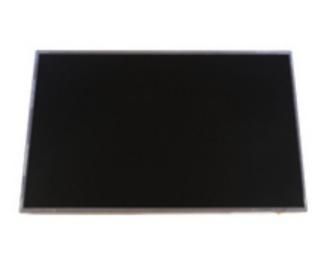 Fujitsu LCD Display Panel - W124854045