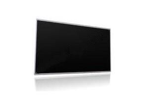 Acer LCD Panel 22", WSXGA - W124961819