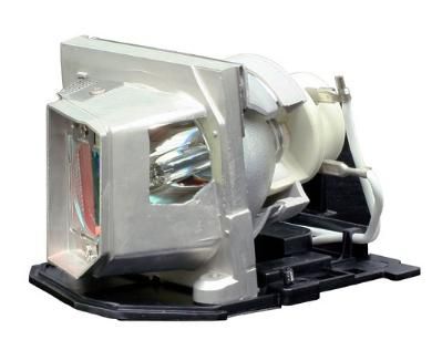 Optoma Projector Lamp - W124874675