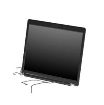 HP 15.4-inch, WXGA+BrightView display assembly - W125020541