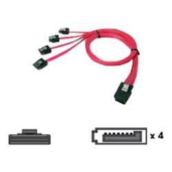 Chenbro Micom Cable, SFF8087 (BP) to SATA (Host) - W125106974