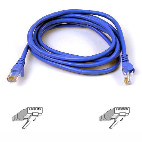 Belkin High Performance Category 6 UTP Patch Cable 5m - W125243119