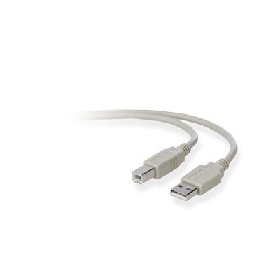 Belkin USB A/B-M/M, PVC, 3 m - W125149791