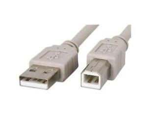 Zebra USB-A/USB-B, Male/Male, 3.04m White - W124554995