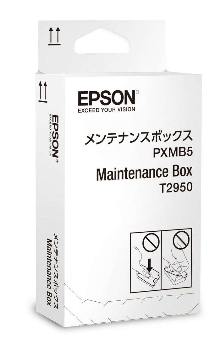 Epson WorkForce WF-100W Maintenance Box - W124946782