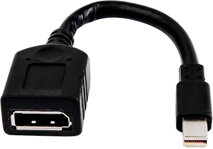 HP Câble adaptateur miniDP-DP - W124907587