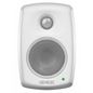 Genelec 4010A Installation Speaker