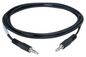 Extron 12' (3.6 m) 3.5 mm Male to Male Stereo Audio Cable