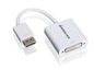 IOGEAR DisplayPort to DVI adapter cable, white