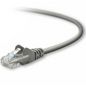 Belkin CAT5e Patch Cable Snagless Molded 2m Grey