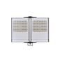 Raytec VARIO2 w8-2 Adaptive Illumination double panel, standard pack, silver, White-Light