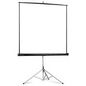 Projecta Picture King 162 x 213 cm / Blanc Mat S / 4:3