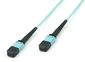 MicroConnect Optical Fibre Cable, MPO Female - MPO Female, Multimode, 12 Fiber, Polarity B, Polishing : UPC, OM3 (Aqua Blue), 1m