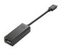 USB-C to DisplayPort Adapter 193015013971