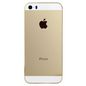 Apple iPhone 5S Back Cover