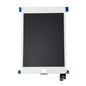 CoreParts LCD Screen with Digitizer Apple iPad Mini 5 Self-Assembled New