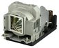 Lamp for projectors 5704327627784 TLPLW13