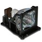 Lamp for projectors, only bulb 5704327650065 SP-LAMP-008