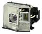 CoreParts Projector Lamp for Optoma 250 Watt, 2000 Hours THEME-S H57