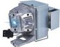 CoreParts Projector Lamp for Optoma 2000 hours, 240 Watt Fit for Optoma Projector EH334, EH335, EH336, HD143X, HD144X and many more