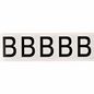 Brady 2" Character Height Black on White Outdoor Numbers and Letters, B