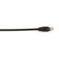 Black Box CAT6 Patch Cable, 1.5m
