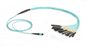 Black Box MTP OM3 Fiber Optic Harness Cable - Plenum, 12-Strand, 3m