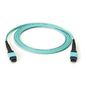 Black Box OM3 Fiber Optic Trunk Cable, MTP® MPO-Style, Method A