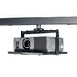Chief Non-Inverted LCD/DLP Projector Ceiling Mount