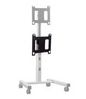 Chief Dual Display Mounting Accessory for Carts and Stands