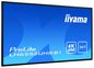 iiyama 65" LCD UHD, SDM-L