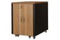 SOUNDproof Cabinet