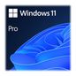 Ernitec Windows 11 Pro OEM license key
