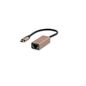 LMP USB-C (m) to Gigabit Ethernet (f) adapter - gold *New
