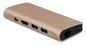 LMP USB-C Travel Dock 4K 9 Port - gold
