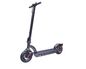 Sharp Kick Scooter with rear suspersion - Black