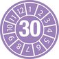 Brady Tamper-evident Inspection Date Labels  Year 30 White on Purple dia. 30 mm