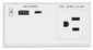 Extron US Outlet, USB Type-A and USB Type-C Module; White