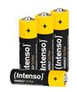 Intenso Household Battery Single-Use Battery Aa Alkaline