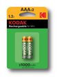 Kodak Household Battery Rechargeable Battery Aaa Nickel-Metal Hydride (Nimh)